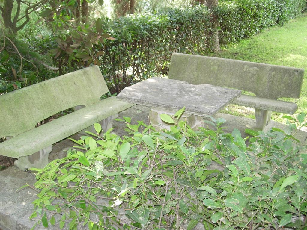 Eremo Hotel Casa Del Sorriso 埃里切 外观 照片
